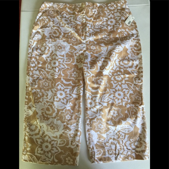 NWT Classic Elements Woman Crop/Capris 20W - Picture 1 of 7